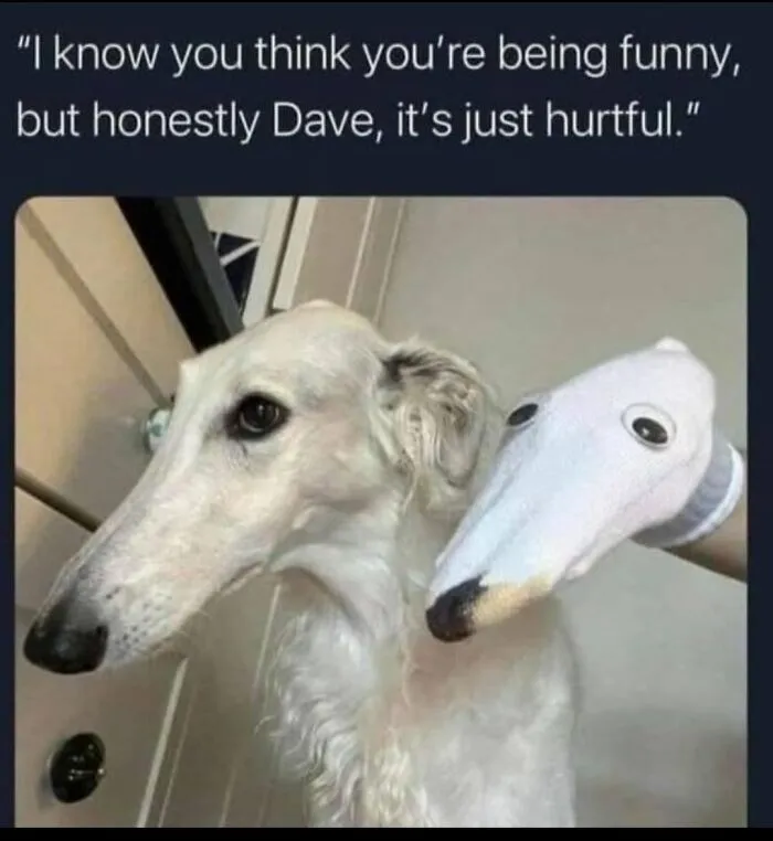 A funny dog meme featuring a Borzoi next to a matching white sock puppet.