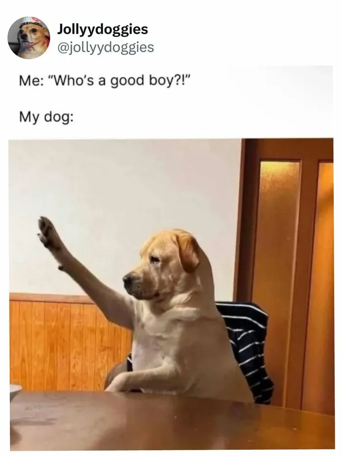 A funny dog meme featuring a golden lab raising its paw at a dining table