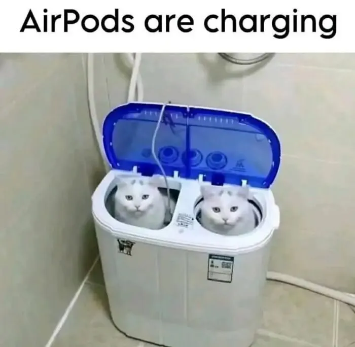 Cat memes showing two white cats sitting in a portable washing machine looking like AirPods.