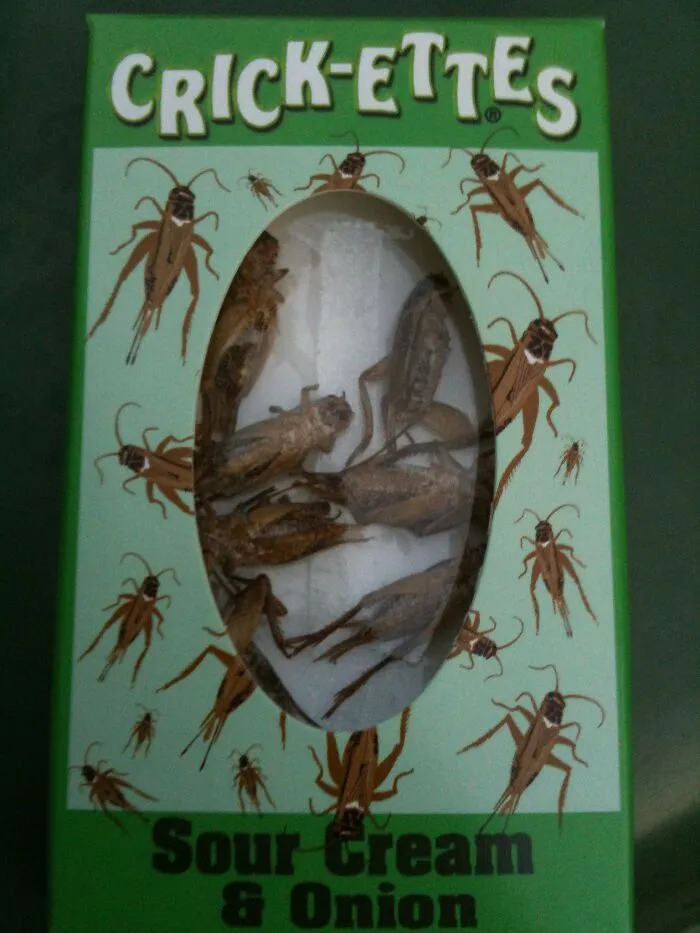 A box of Crick-ettes sour cream and onion flavored crickets given instead of candy while trick-or-treating.