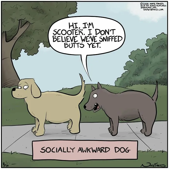 Two dogs awkwardly meet on sidewalk in socially awkward dog comic strip by Nate Fakes