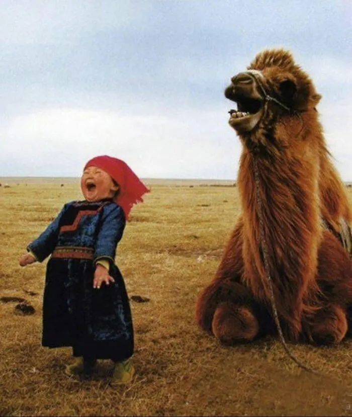 A cool photo of a laughing child in traditional clothing standing next to a smiling camel in a field