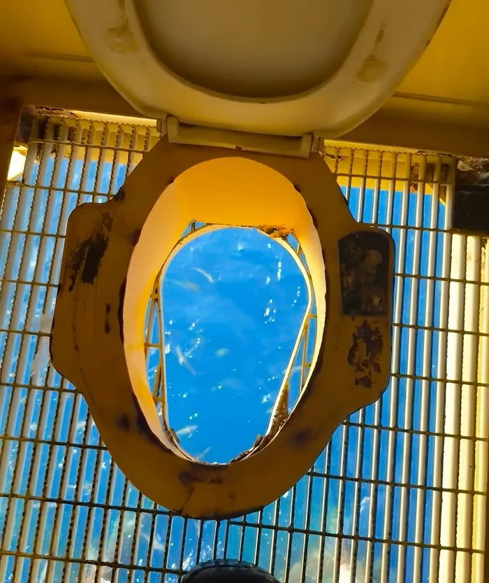 An interesting perspective of looking down through a boat latrine directly into the clear blue ocean water