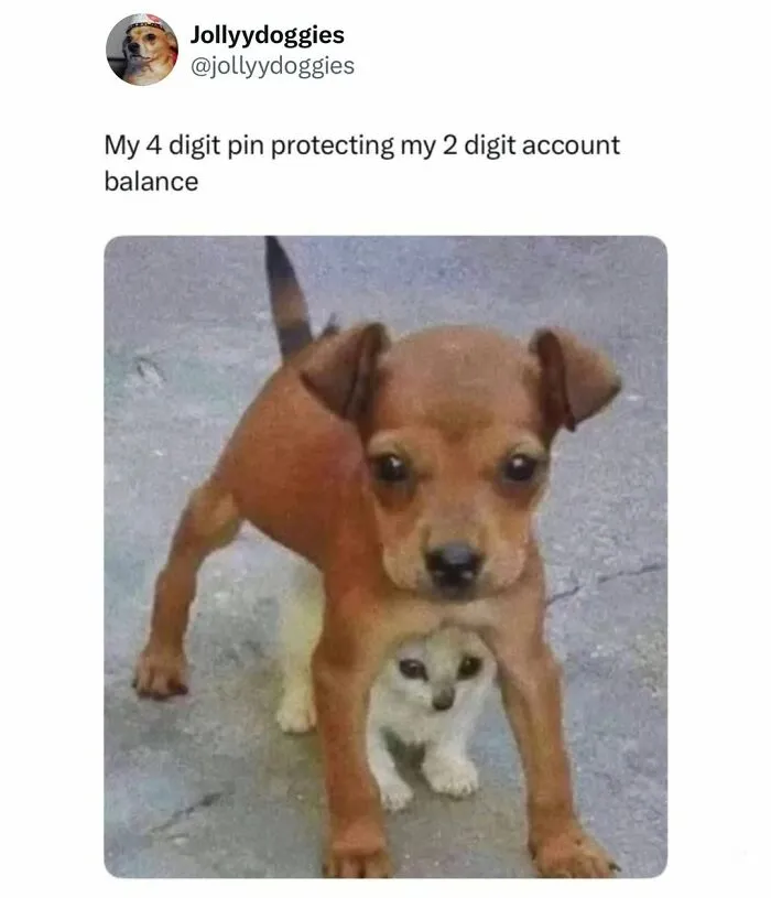 Hilarious dog memes featuring a small brown puppy standing protectively over an even smaller kitten