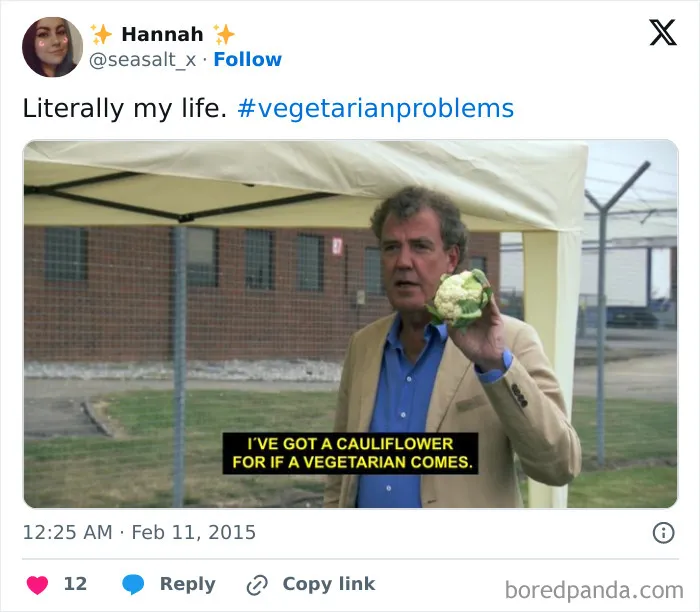 65 Funny Vegetarian Tweets For Those Who Are Tired Of Explaining Their Diet For The 100th Time