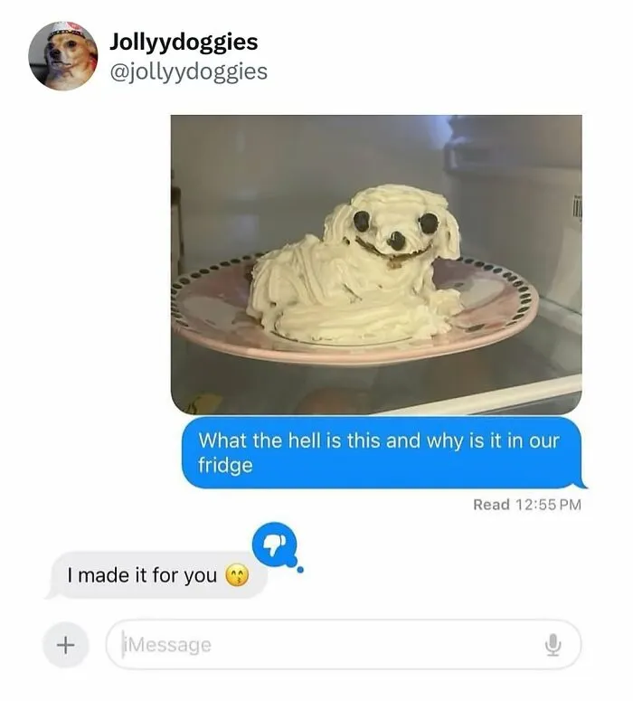 Funny dog memes screenshot showing a poorly made white dog cake in a fridge with a text conversation