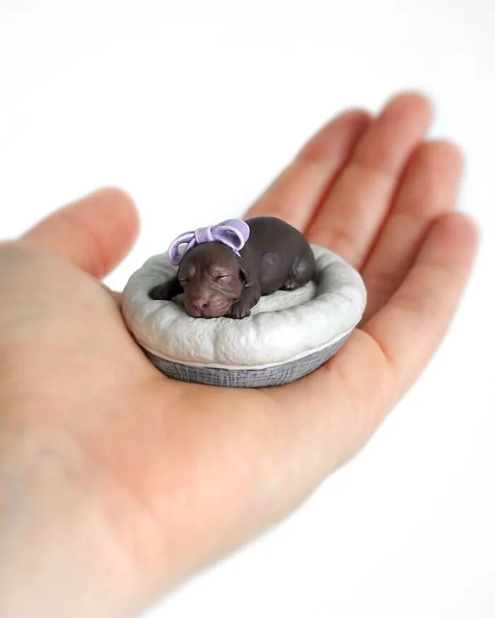 Tiny hyperrealistic sculpture of a sleeping newborn puppy resting in the palm of a hand.