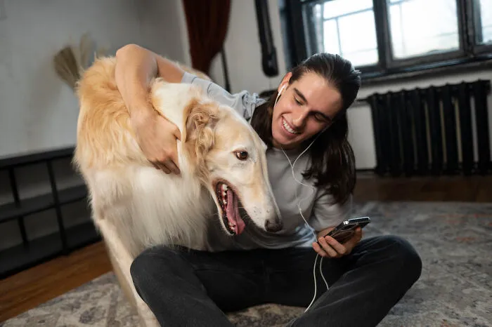 48 Airbnb Stories That Might Make You Very Glad You’re Not The Host