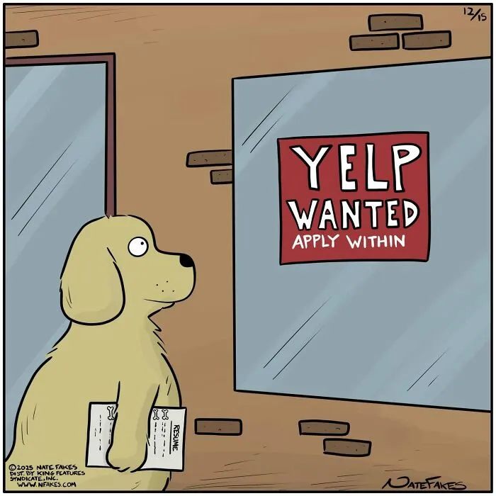 Dog comic of dog applying for job at Yelp in funny scene