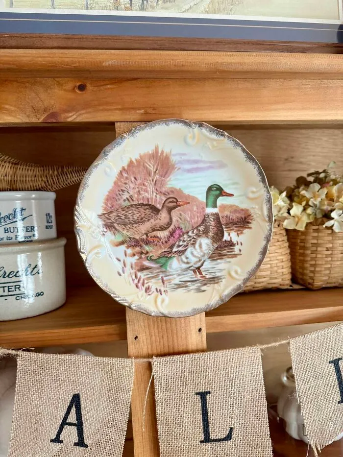 Decorative thrift store plate with duck illustration on wooden shelf