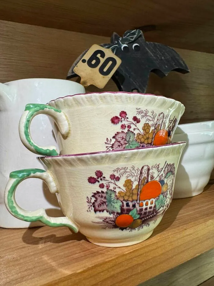Pair of vintage floral pattern teacups thrift store kitchenware find