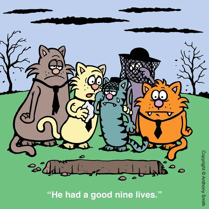 Funny cat comics depicting sad cats mourning at a funeral for nine lives.