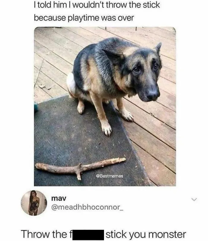 Sad German Shepherd sitting on a deck, illustrating hilarious dog memes.