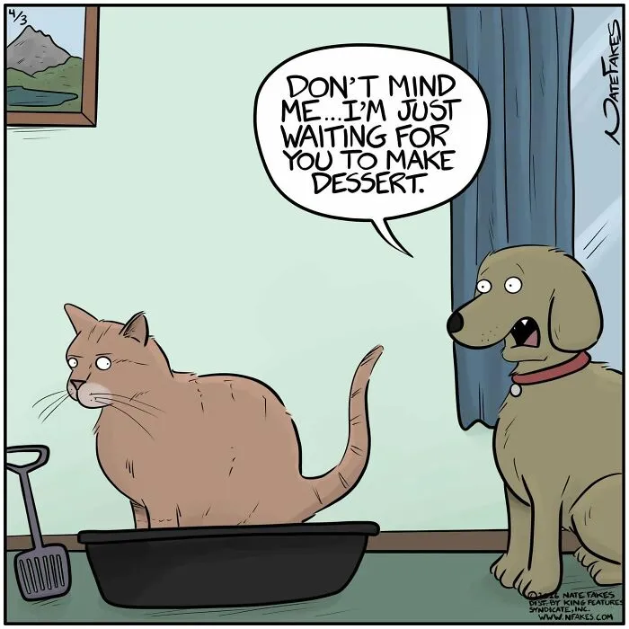 Dog waiting for dessert while cat sits in pan hilarious dog comics