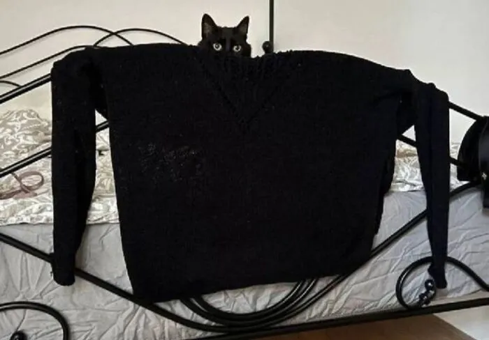A black cat hiding behind a black sweater hanging on a bed frame, displaying adorable black cat pics vibes.