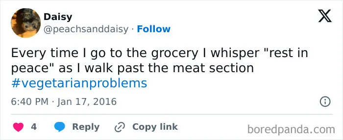 65 Funny Vegetarian Tweets For Those Who Are Tired Of Explaining Their Diet For The 100th Time