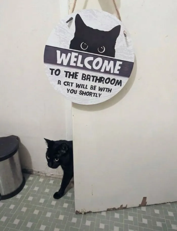 A funny black cat peeking out from behind a bathroom door under a welcome sign.