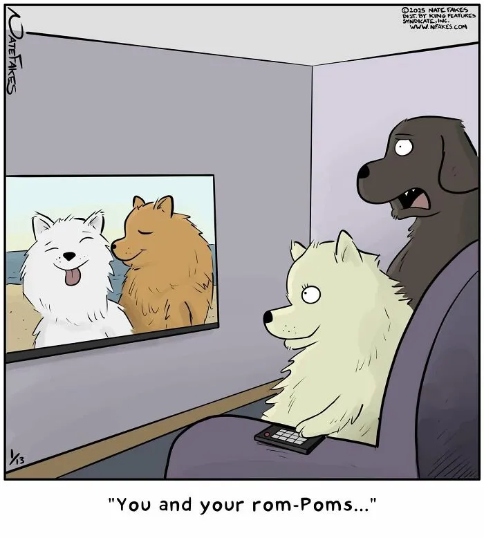 Two dogs watching TV showing other dogs called rom-poms in humorous comic