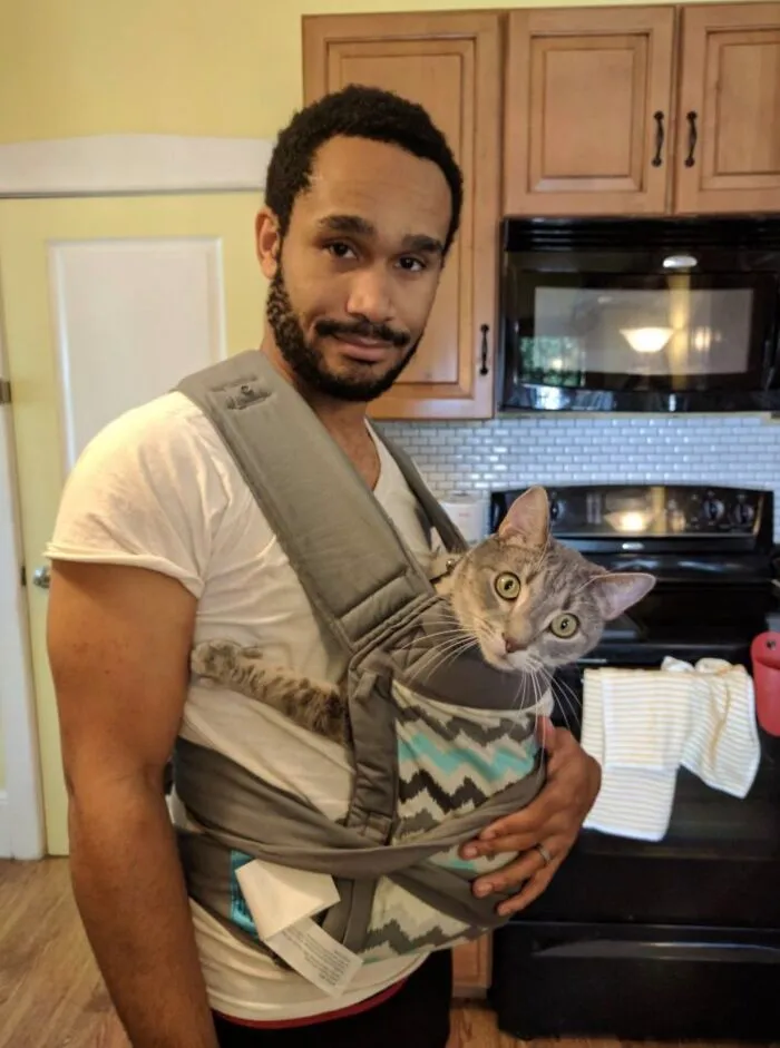 Man wearing a baby carrier with a tabby cat inside, in a kitchen.