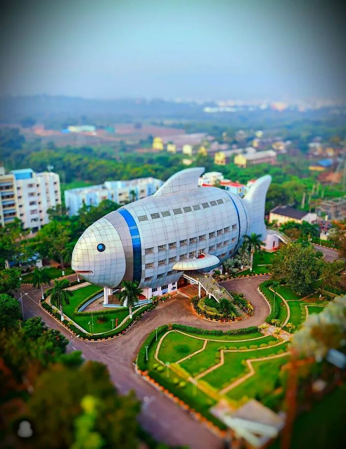 A massive fish-shaped office building in India, an instance of how buildings turn heads with bizarre shapes