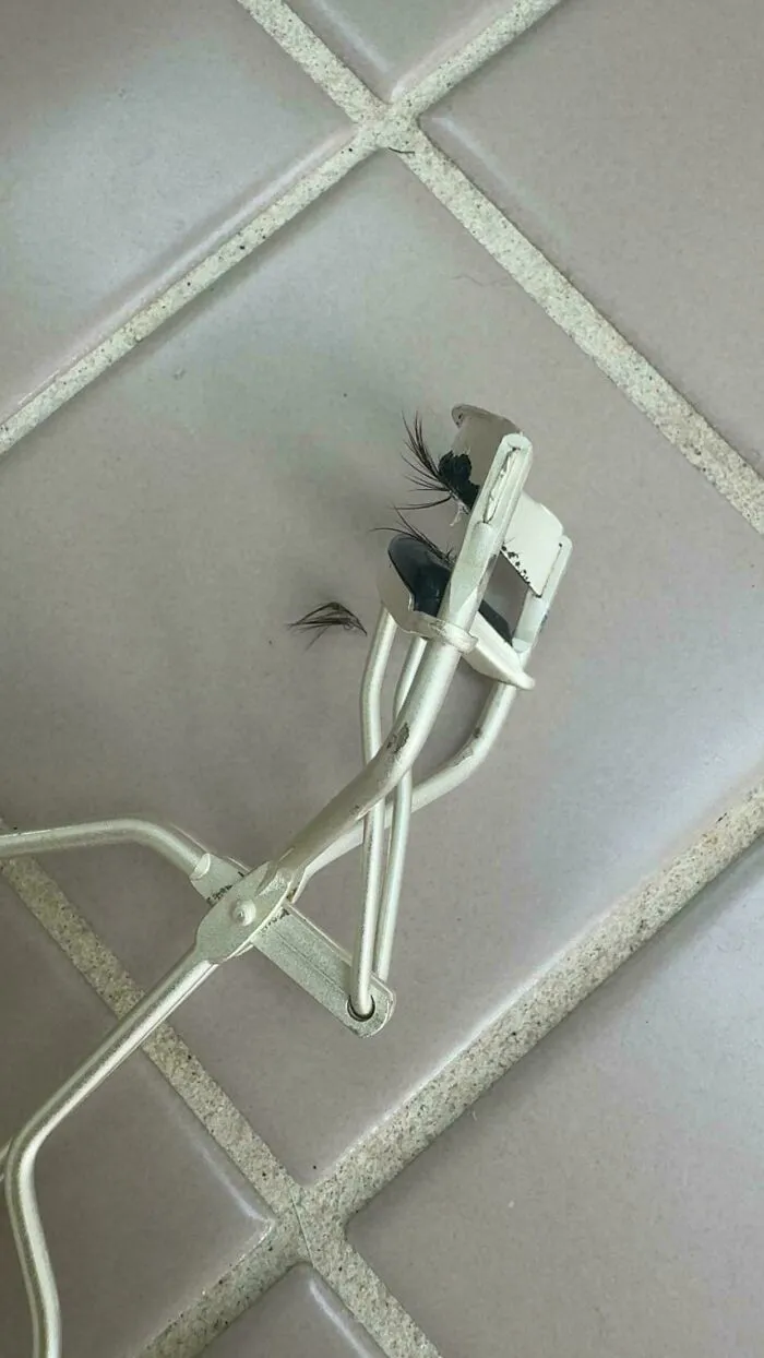 An eyelash curler with ripped out eyelashes, a painful example of things went wrong pics.
