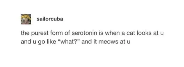 57 Completely Unserious Cat Posts Shared By This Page That Deserve A Place In Your Daily Scroll