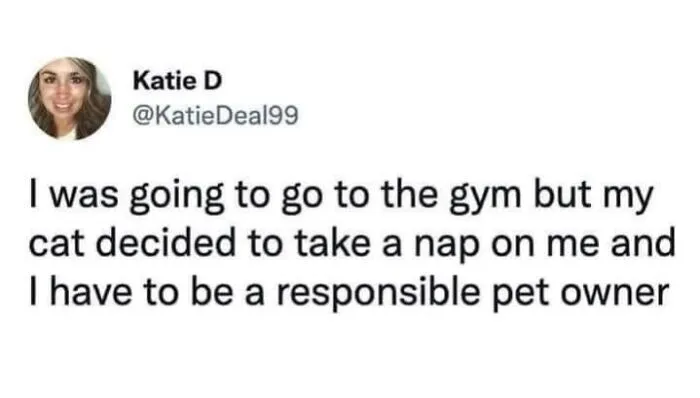 57 Completely Unserious Cat Posts Shared By This Page That Deserve A Place In Your Daily Scroll