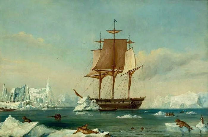 Historical treasures painting of a large sailing ship navigating through icy waters with seals