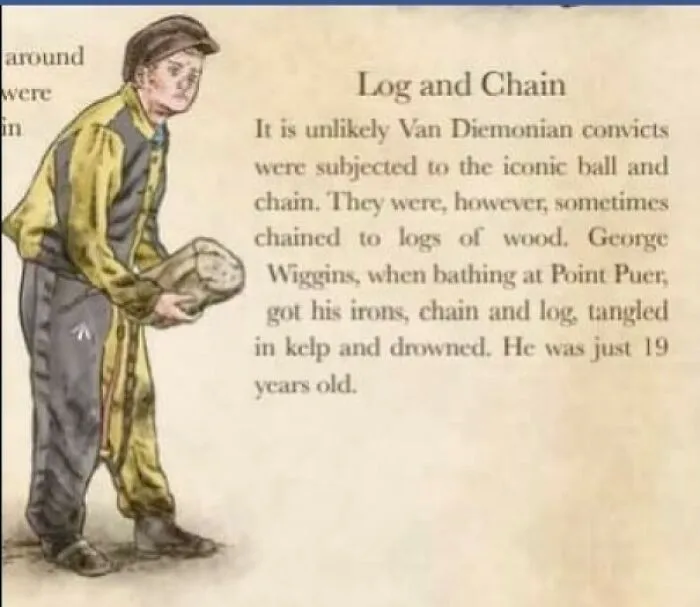 Historical treasures illustration showing a convict restrained with a log and chain.