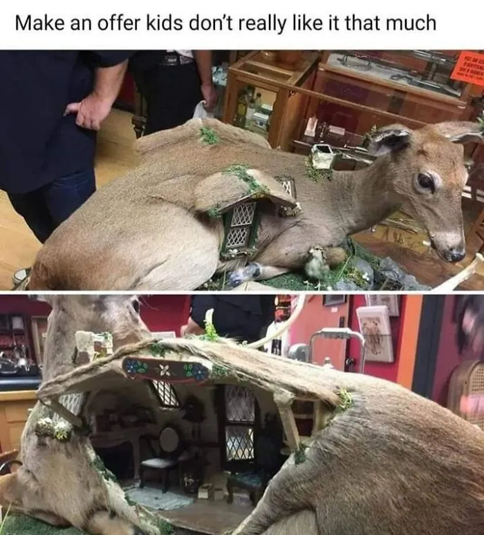 Bizarre DIY projects of a taxidermy deer transformed into a miniature dollhouse