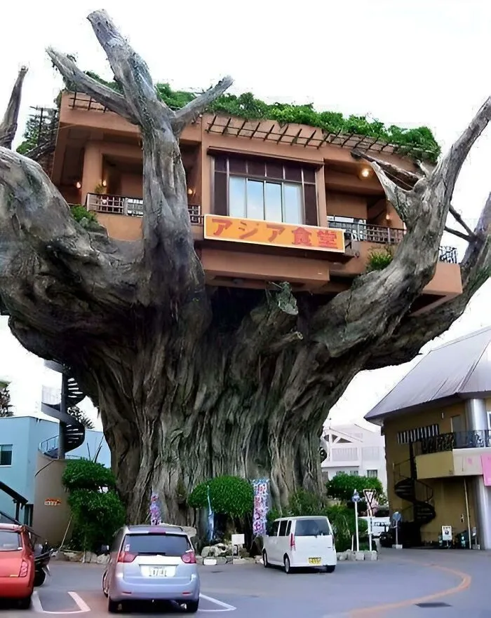 A unique house built on top of a massive artificial tree structure with stairs and cars parked below