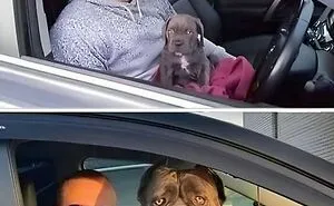 71 Cool Internet Finds That Made All That Scrolling Feel Worthwhile