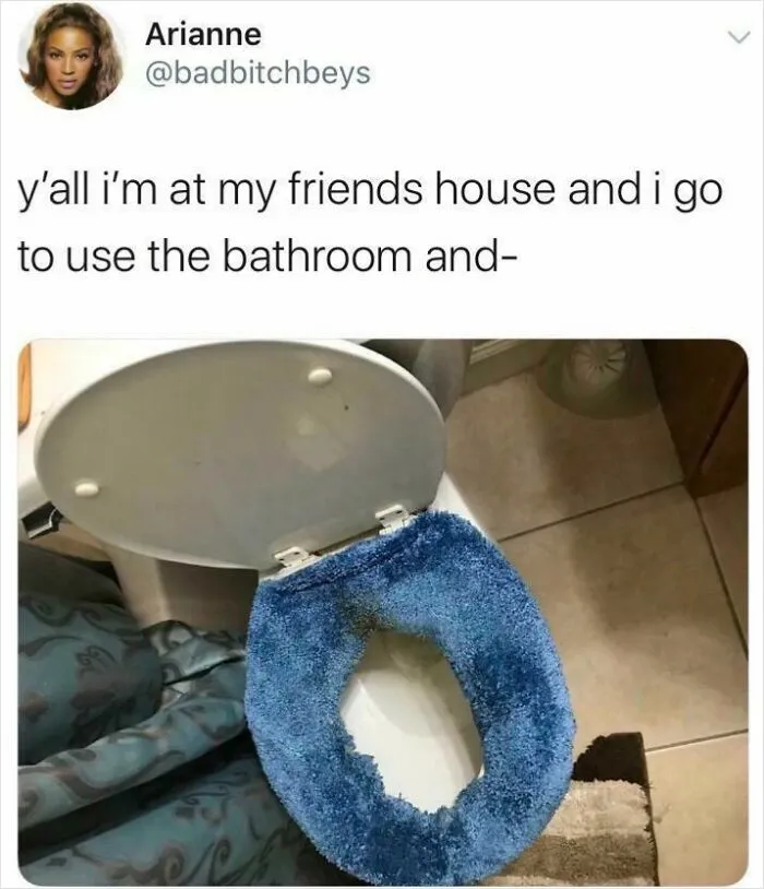 This Toilet Seat Cover