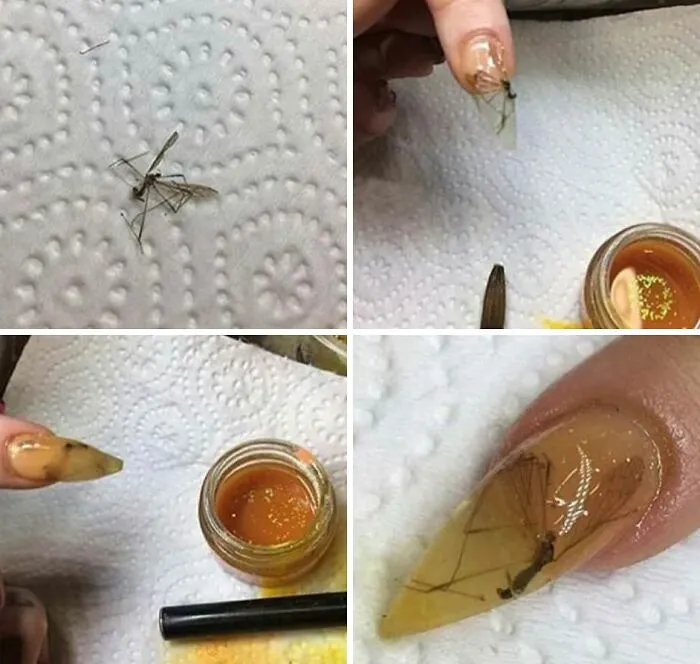 Steps of a bizarre DIY project embedding a dead mosquito inside acrylic nail art.