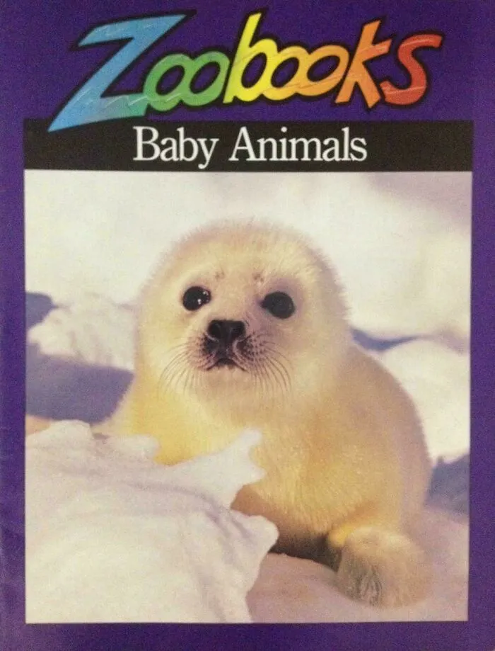 Front cover of a Zoobooks Baby Animals magazine, a familiar nostalgic image for 90s kids.