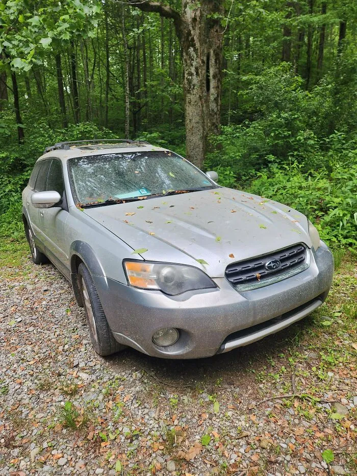 Silver car parked on a gravel trail in the woods, linked to creepy mysteries.