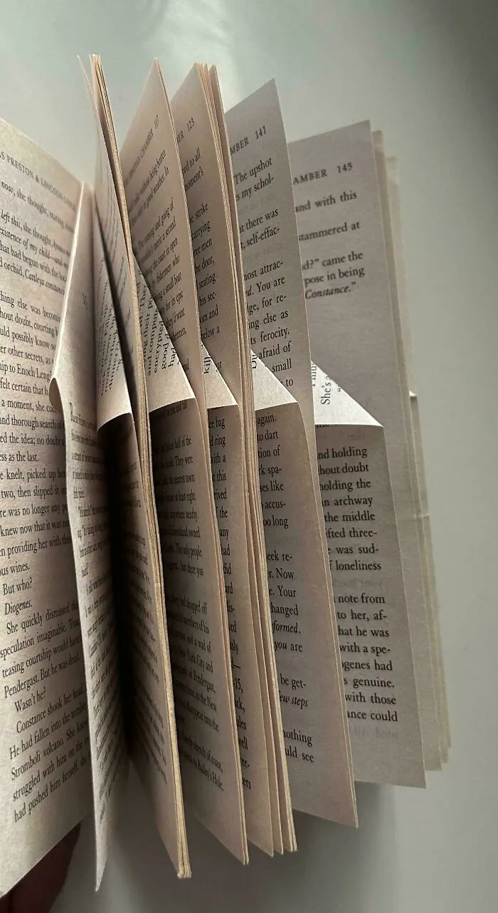 An open book with pages folded in a star pattern, illustrating quirky roommate stories.