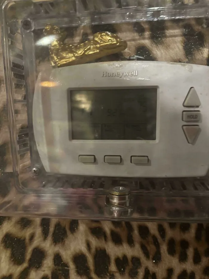 A locked thermostat covered with a plastic box from roommate stories