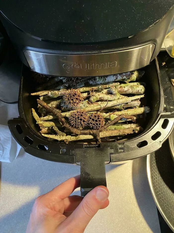 Roommate Using The Air Fryer To Dry Random Sticks And Gumballs 😒