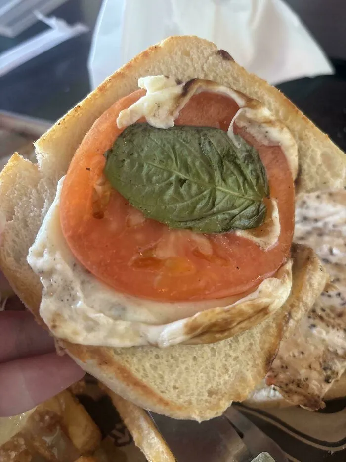A sandwich with just one slice of tomato and a basil leaf, reflecting food quality in modern life in America.