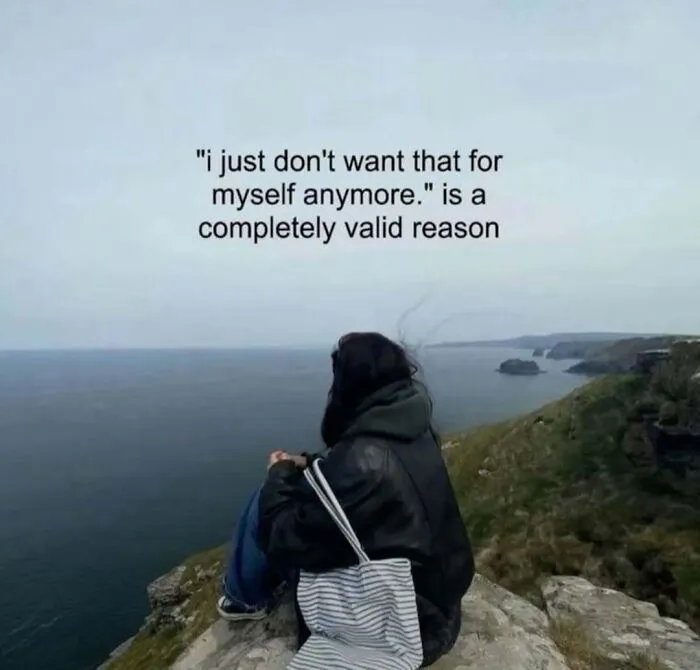 A person looking at the sea from a cliff in a reflective meme about dealing with life's inconveniences.