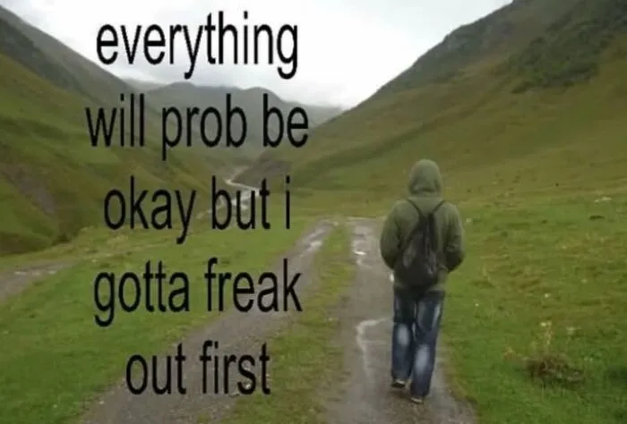 Relatable memes featuring a person walking on a path, needing to freak out first