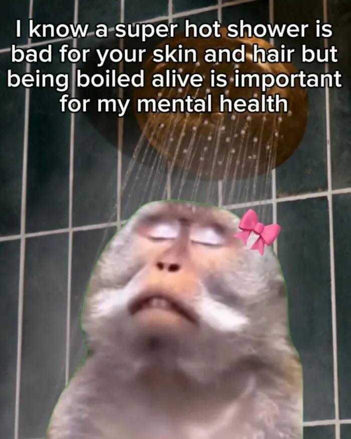 Funny-Memes-Images-Relatable