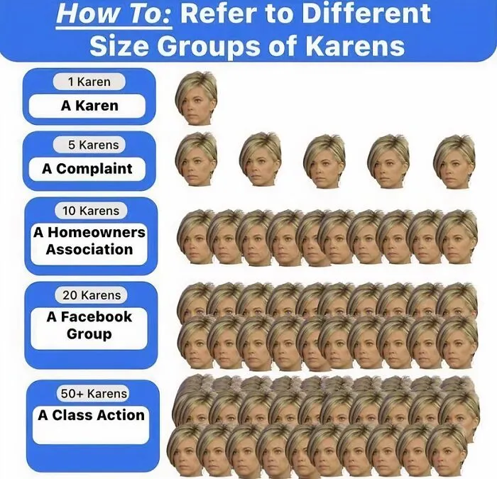 A humorous chart showing different collective nouns for groups of people displaying Karen behavior.
