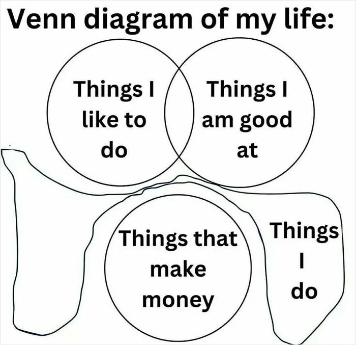 A relatable Venn diagram meme showing separate circles for things I like to do, make money, and actually do.