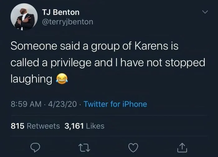 A tweet joking that a group of Karens is called a privilege, a funny take on typical Karen behavior.