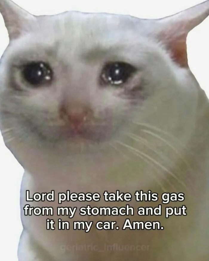 Accurate memes featuring a teary-eyed crying cat image with relatable text asking for gas.
