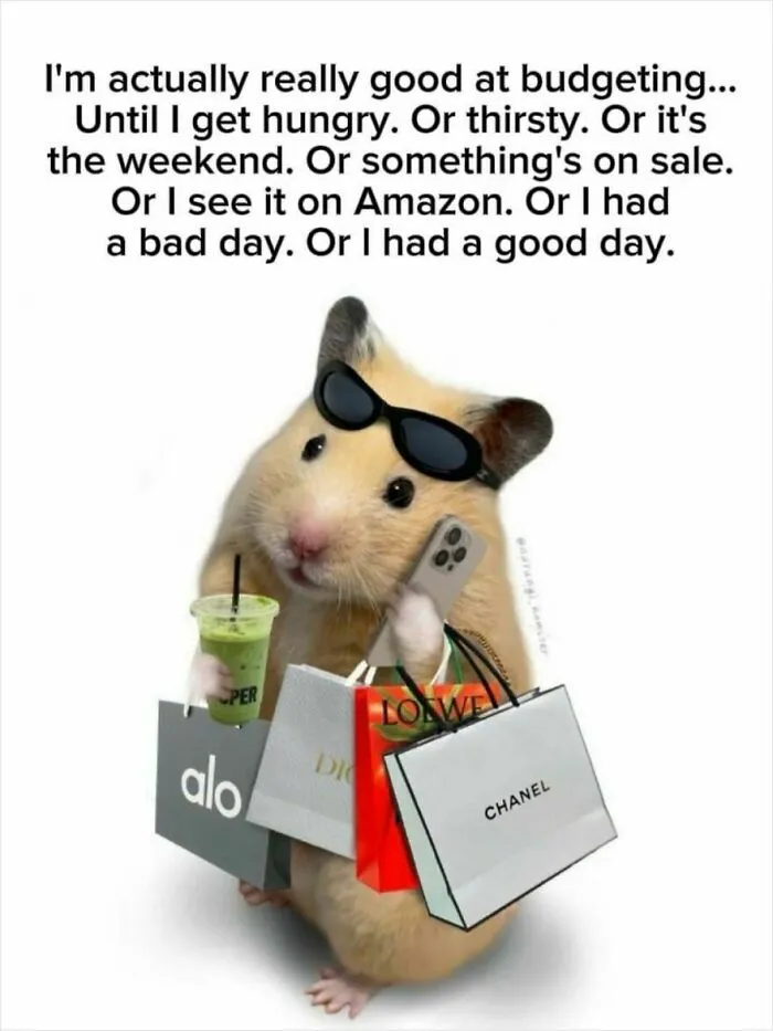 A hamster holding shopping bags and a phone in one of the spot-on memes about budgeting.