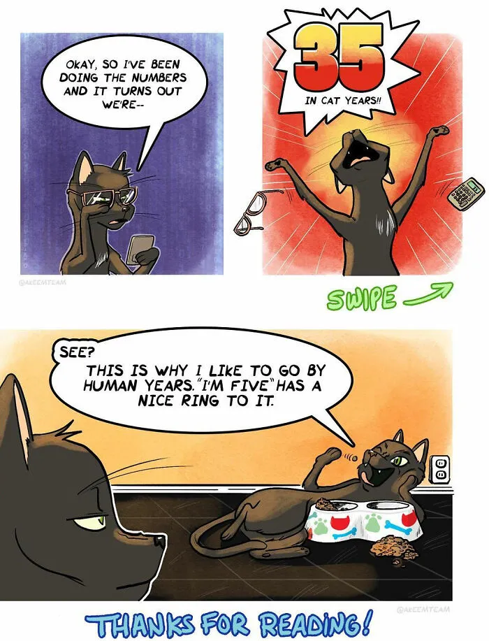 Funny comics illustration depicting black cats discussing their age in cat years