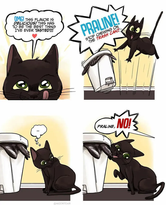 Funny comics strip of a black cat named Praline trying to chew on a plastic trash can
